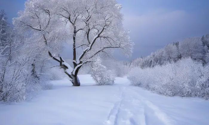 Diváky – winter