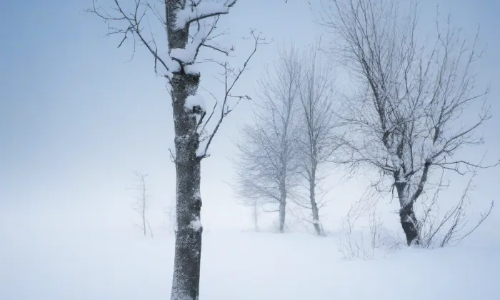 Divadlo Lubomíra Lipského – winter