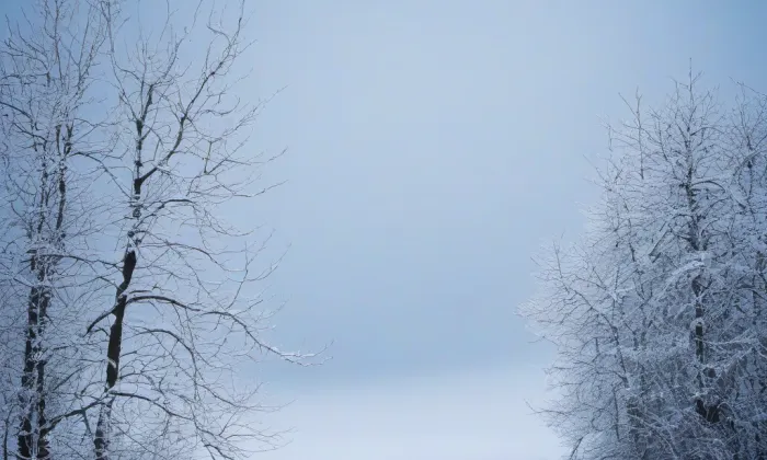 Dolní hřbitov – winter