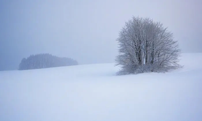 Dominikánský klášter v Jihlavě – winter