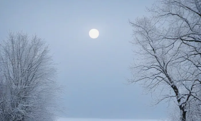 Dryákova vila – winter