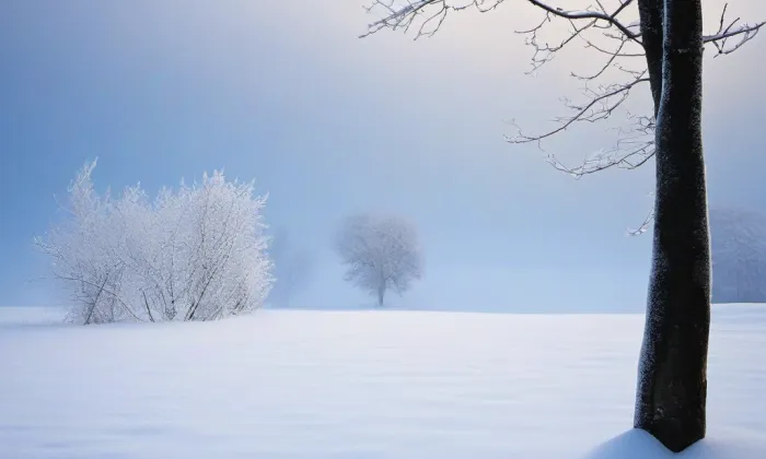 Dva Herkulové – winter