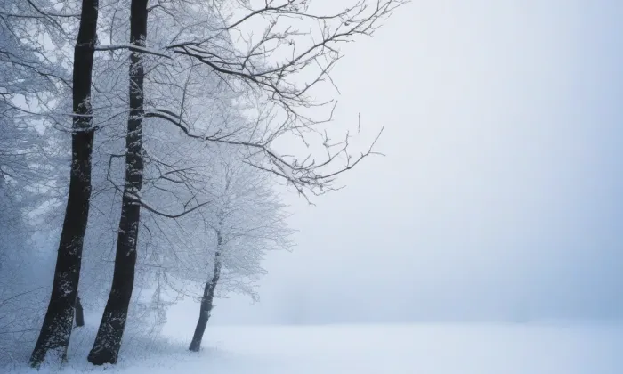 Dvojhradí – winter
