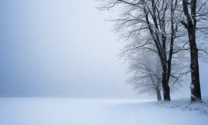 Emin zámek – winter