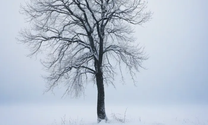 evangelický kostel (Újezd u Brna) – winter
