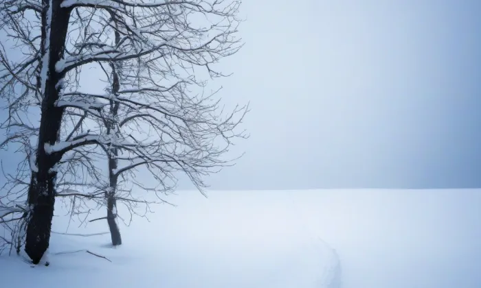 Evangelický kostel (Bludovice) – winter