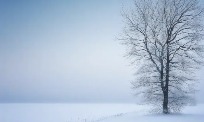 Evangelický kostel (Bystřice) – winter