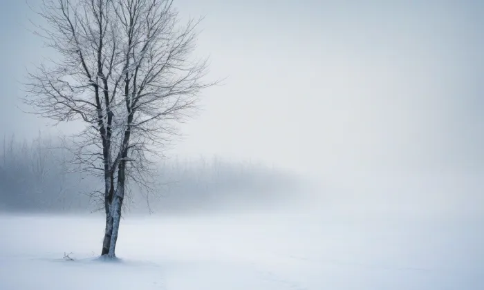 Evangelický kostel (Lysá nad Labem) – winter