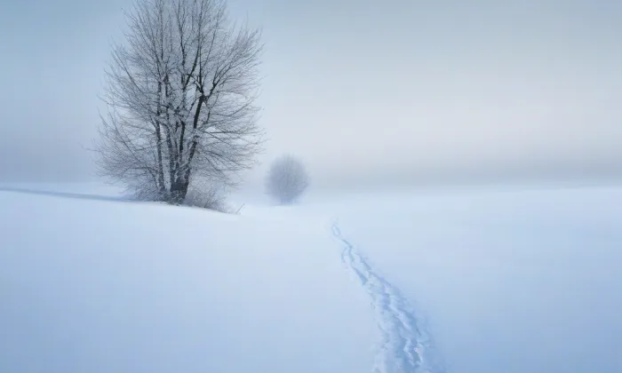 evangelický kostel v Chodově – winter
