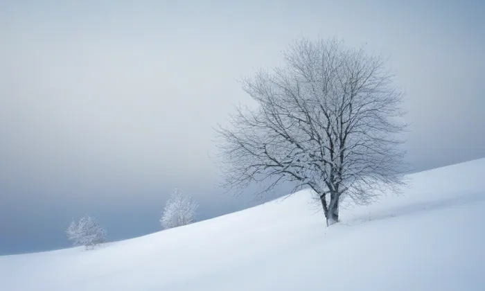 evangelický kostel v Horních Dubenkách – winter