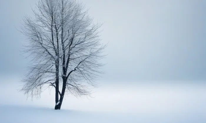 evangelický kostel v Hrabové – winter