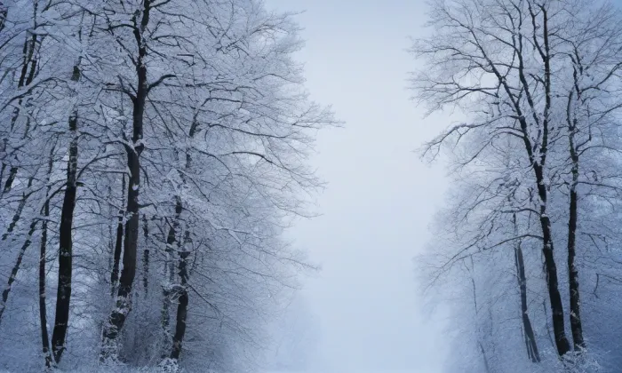 evangelický kostel v Hrobu – winter