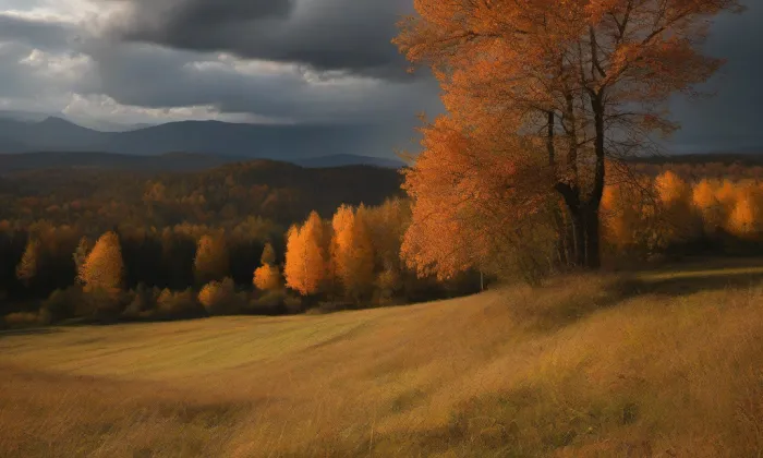 evangelický kostel v Hrubé Vrbce – autumn