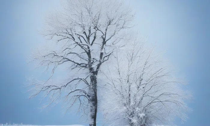 Evangelický kostel v Jindřichově Hradci – winter