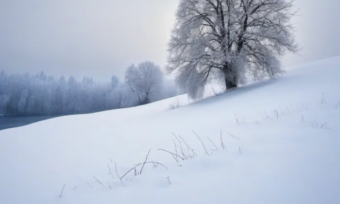 evangelický kostel v Libčicích nad Vltavou – winter