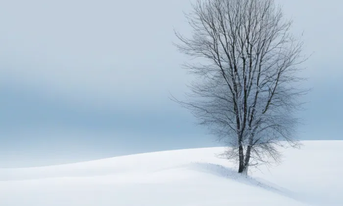 evangelický kostel v Mělnickém Vtelně – winter