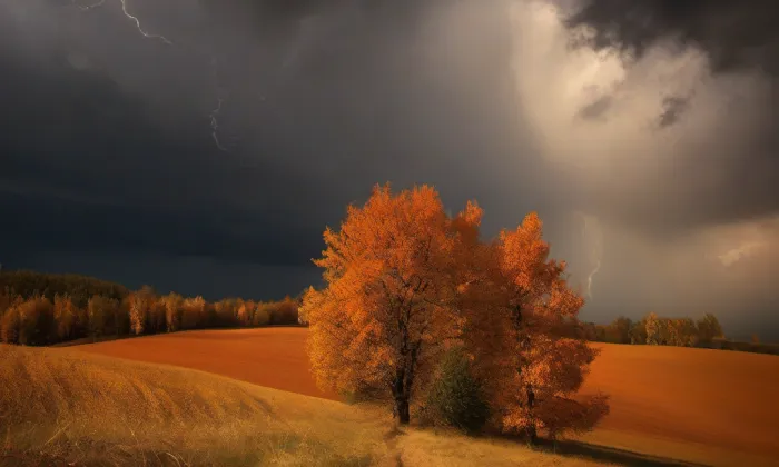 evangelický kostel v Opatově – autumn