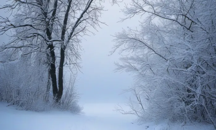 evangelický kostel v Pozděchově – winter