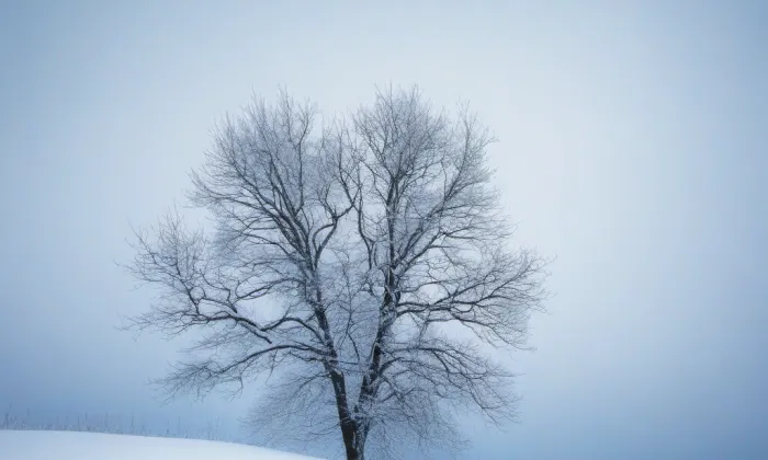 evangelický kostel v Třebíči – winter