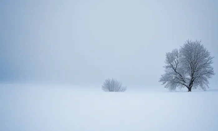 evangelický kostel ve Džbánově – winter