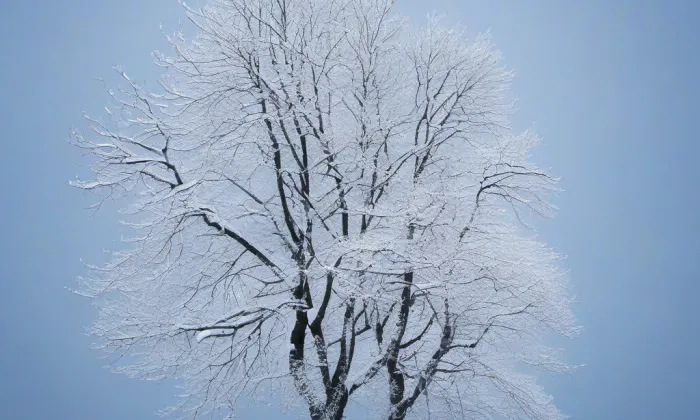 evangelický kostel ve Velké Lhotě – winter