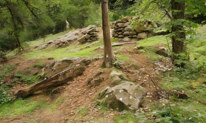 Falštejn – historical