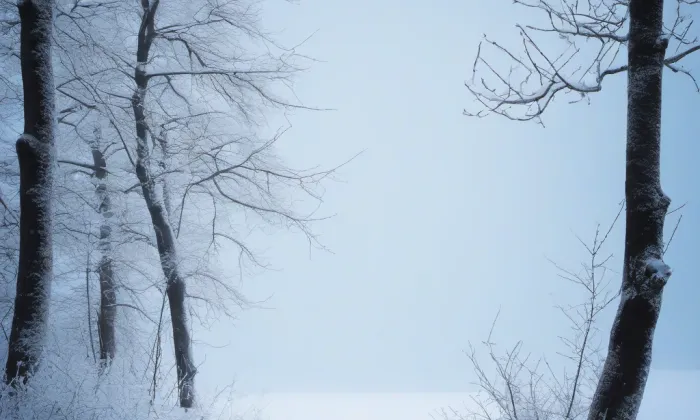 Falštejn – winter
