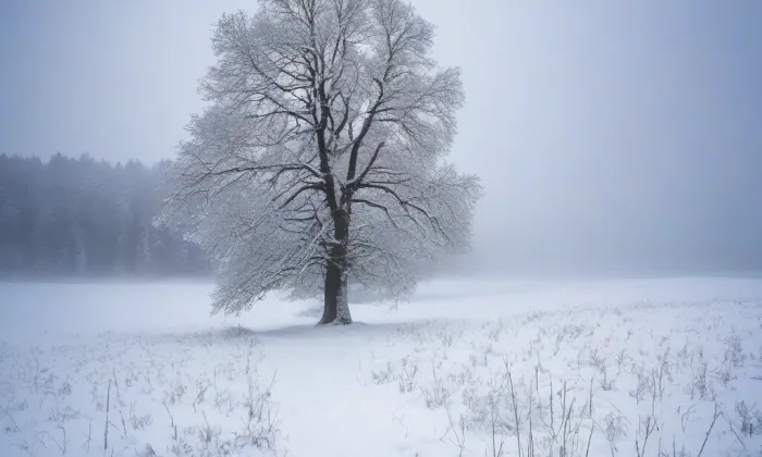 Františkánský klášter v Hejnicích – winter