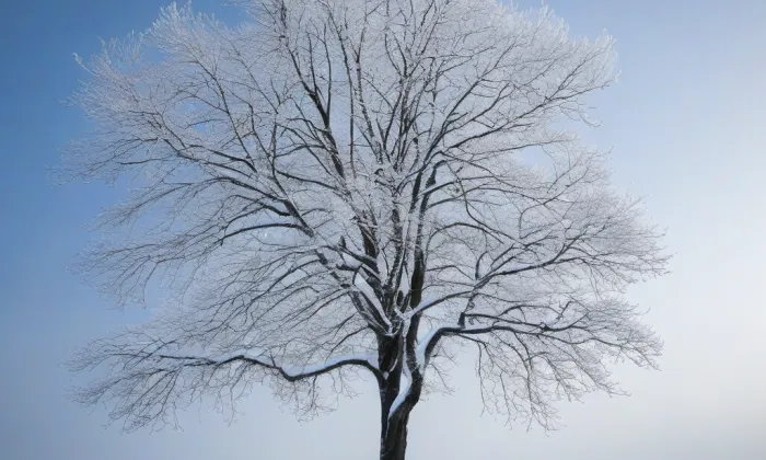 Frejštejn – winter