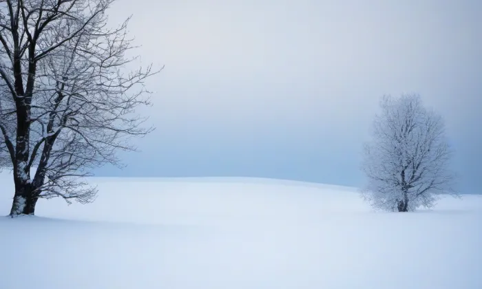 Freudenštejn – winter