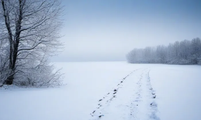 Fryštát – winter