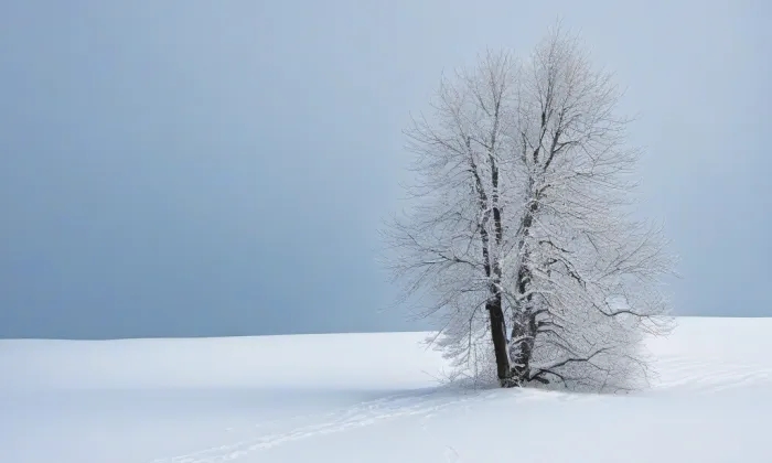 Hřbitovní kaple svatého Prokopa – winter