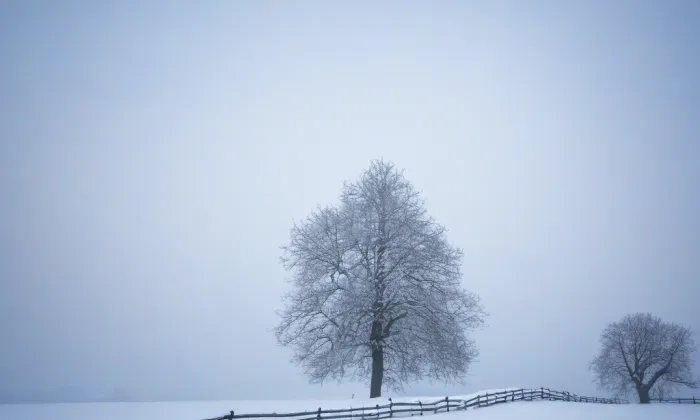 Hengst – winter