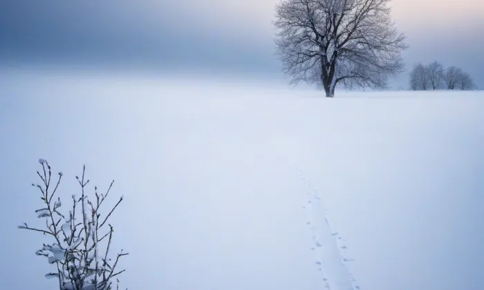 Horní zámek Panenské Břežany – winter