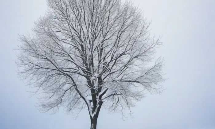 Hrádek Přerovec – winter