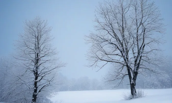 Hrádek u Podmok – winter