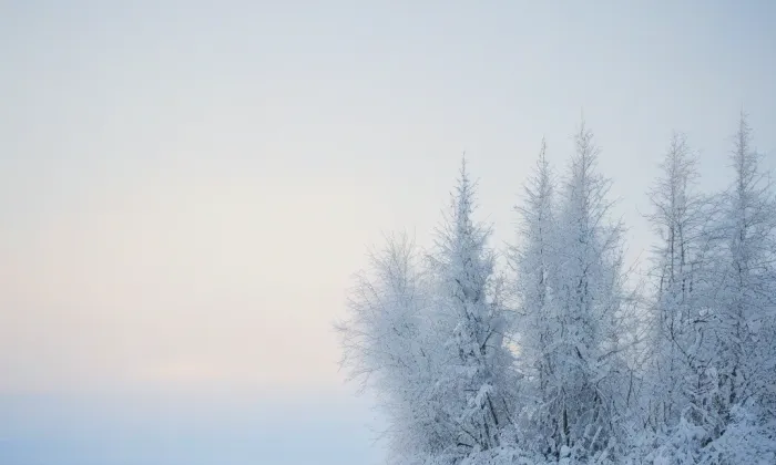 Hrádek u Vrbice – winter