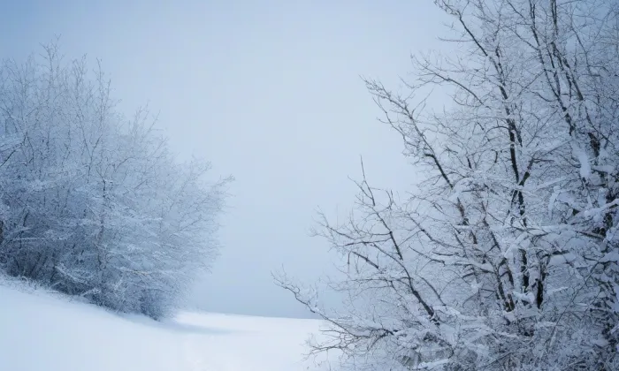 Hrádníky – winter