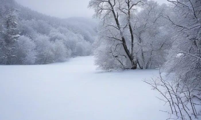 hrad Ledenice – winter