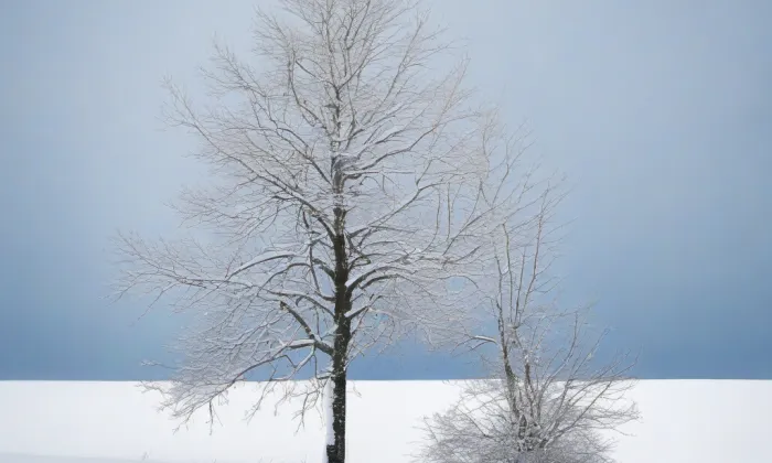 Hrad na Stožecké skále – winter