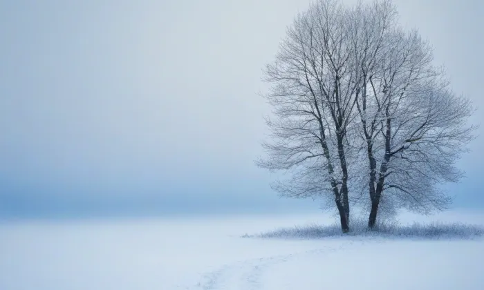 Hrad na Zámeckém vrchu – winter