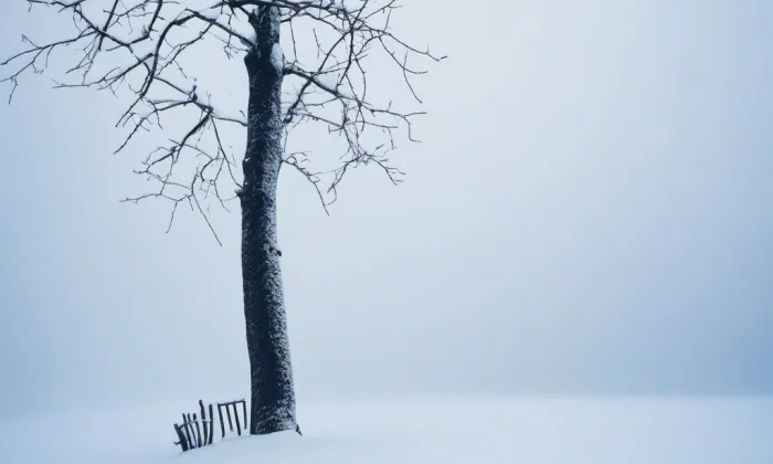 hrad Velhartice – winter