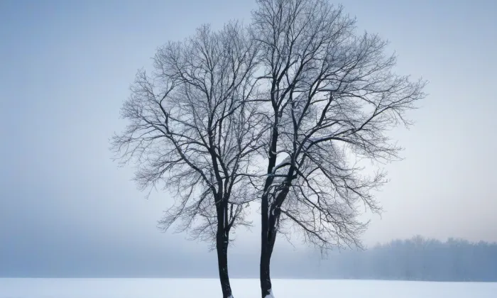 Hradební (Prachatice II) – winter
