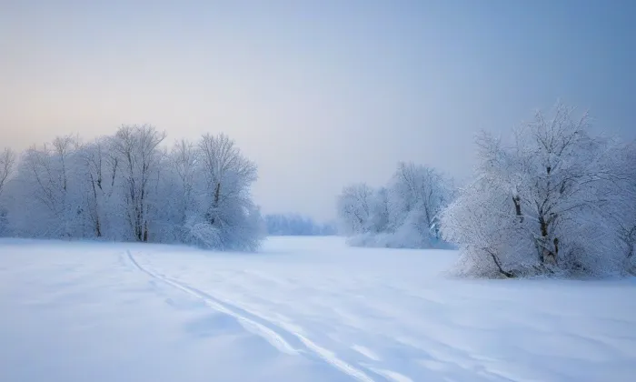 Hrobka Wratislavů z Mitrowicz v Čimelicích – winter
