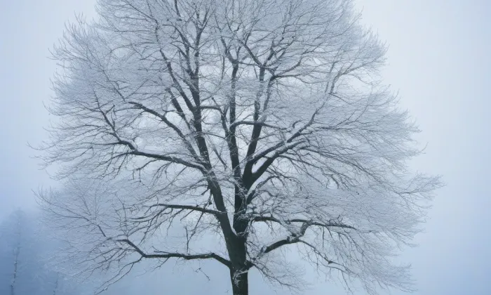 Hukovice (Velká Kraš) – winter