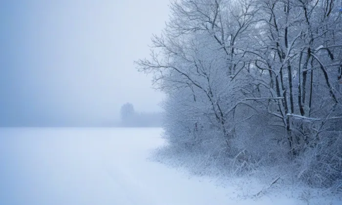 Husův sbor v Ostravě-Svinově – winter