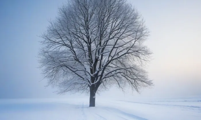 Husův sbor v Turnově – winter