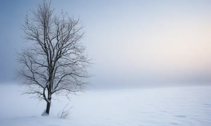 Husova (Jižní Předměstí) – winter