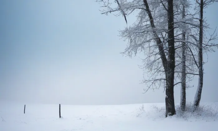 Husova (Staré Brno) – winter