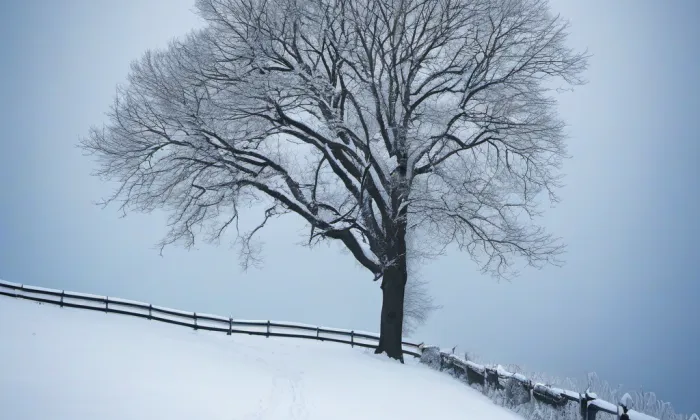 Jízdárna Pražského hradu – winter
